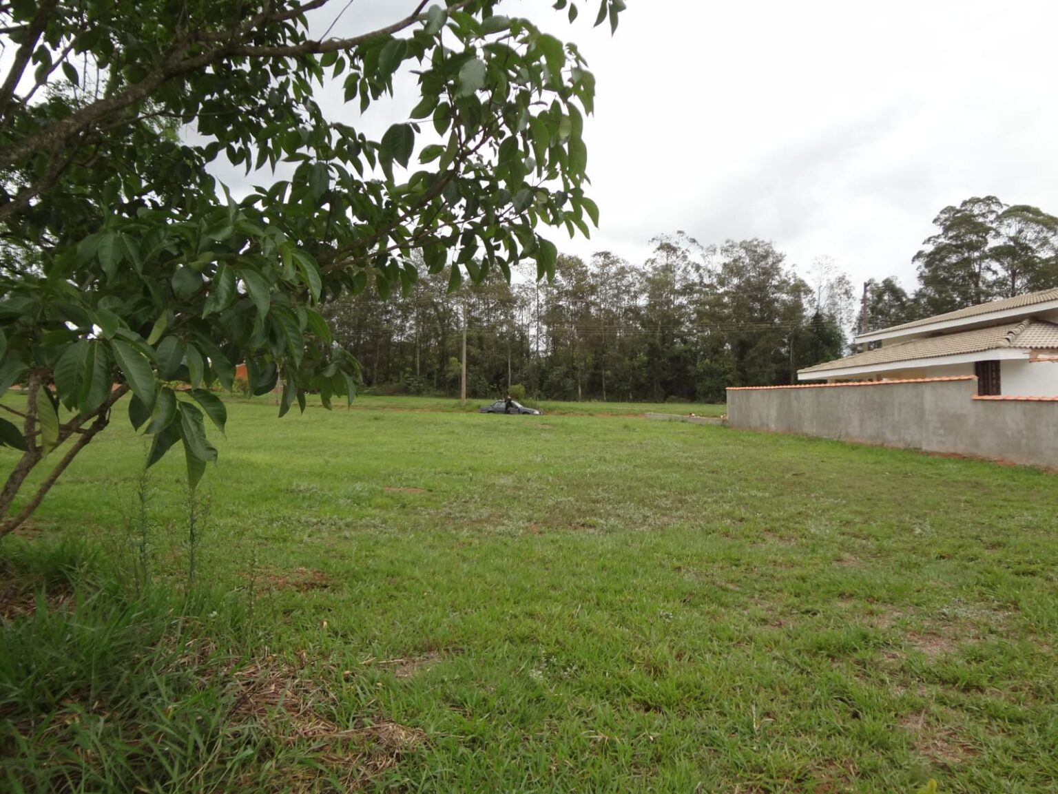 IMG-20241002-WA0092