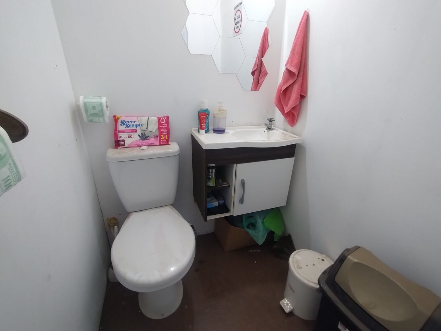 IMG_20260127_112452447