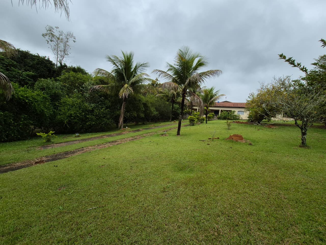 WhatsApp Image 2026-04-09 at 12.24.57 (4)